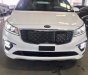 Kia Sedona   2019 - Bán xe Kia Sedona đời 2019, màu trắng, xe nhập