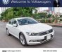 Volkswagen Passat Bluemotion High 2018 - Bán xe Volkswagen Passat High - Nhập khẩu và bảo hành chính hãng/ hotline: 0908988862