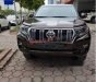 Toyota Prado     VX 2.7L   2019 - Bán Toyota Prado 2.7VX hoàn toàn mới, xe giao ngay