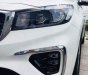 Kia Sedona   2019 - Bán xe Kia Sedona đời 2019, màu trắng, xe nhập