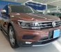 Volkswagen Tiguan Allspace 2018 - Volkswagen Tiguan nâu và xanh rêu - Phiên bản giới hạn