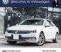 Volkswagen Passat Bluemotion High 2018 - Bán xe Volkswagen Passat High - Nhập khẩu và bảo hành chính hãng/ hotline: 0908988862