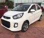 Kia Morning EX 2019 - Cần bán xe Kia Morning EX sản xuất năm 2019, màu trắng