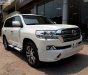 Toyota Land Cruiser VX 4.6 V8 2019 - Bán Toyota Land Cruiser VX 4.6 V8 năm 2019, màu trắng, nhập khẩu