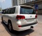 Toyota Land Cruiser VX 4.6 V8 2019 - Bán Toyota Land Cruiser VX 4.6 V8 năm 2019, màu trắng, nhập khẩu