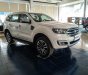 Ford Everest 2.0L Single_Turbo Ambiente MT 2019 - Bán Ford Everest 2019, tặng phụ kiện, hỗ trợ vay 80%, LH 0981.183.915