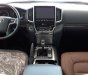 Toyota Land Cruiser VX 4.6 V8 2019 - Bán Toyota Land Cruiser VX 4.6 V8 năm 2019, màu trắng, nhập khẩu