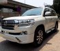 Toyota Land Cruiser VX 4.6 V8 2019 - Bán Toyota Land Cruiser VX 4.6 V8 năm 2019, màu trắng, nhập khẩu