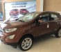 Ford EcoSport Titanium 1.5L AT 2019 - Bán ô tô Ford EcoSport Titanium 1.5L AT sản xuất năm 2019, màu nâu, 650tr