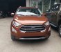 Ford EcoSport Titanium AT 2019 - Ford Thủ Đô báo giá xe Ford Ecosport 2019 mới nhất. Khuyến mại lên đến 60Tr, đủ màu, trả góp toàn quốc