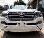 Toyota Land Cruiser VX 4.6 V8 2019 - Bán Toyota Land Cruiser VX 4.6 V8 năm 2019, màu trắng, nhập khẩu