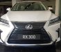 Lexus RX 300 2019 - Bán xe Lexus RX 300 đời 2019, màu trắng, xe nhập