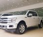 Ford F 150 Platinum 2018 - Bán Ford F150 Platinum 2018 mới 100%, giao ngay