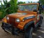 Jeep Wrangler 2008 - Cần bán lại xe Jeep Wrangler năm sản xuất 2008, nhập khẩu nguyên chiếc, giá chỉ 138 triệu