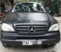 Mercedes-Benz ML Class 320 2002 - Bán Mercedes ML320 đời 2002, màu đen, nhập khẩu 