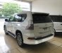 Lexus GX 460 2017 - Bán Lexus GX460 màu trắng, sản xuất năm 2017 đăng ký cá nhân