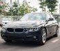 BMW 3 Series 320i 2018 - Cần bán xe BMW 3 Series 320i năm sản xuất 2018, màu đen, nhập khẩu