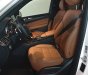 Mercedes-Benz GLS GLS400  2017 - Bán Meccede GLS400 đời 2017 nhập Mỹ