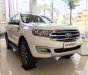 Ford Everest 2.0 Bi-Turbo Titanium 2019 - Lào Cai bán Ford Everest Titan 2019, giá tốt nhất thị trường, trả góp cao tặng full phụ kiện 