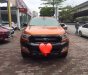 Ford Ranger Wildtrak 3.2 2016 - Bán lại xe Ford Ranger Wildtrak 3.2 đời 2016, nhập khẩu nguyên chiếc