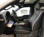 Ford F 150 2019 - Bán Ford F 150 sản xuất Mỹ, đẳng cấp bán tải, xe giao ngay, LH 0904754444