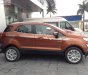 Ford EcoSport Titanium 1.5L AT 2019 - Bán ô tô Ford EcoSport Titanium 1.5L AT sản xuất 2019