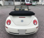 Volkswagen Beetle 2009 - Bán xe Volkswagen New Beetle 2.5 SX 2009