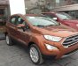 Ford EcoSport Titanium 1.5L AT 2019 - Bán ô tô Ford EcoSport Titanium 1.5L AT sản xuất 2019