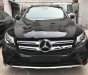 Mercedes-Benz GLC-Class GLC 300 2019 - Cần bán xe Mercedes GLC 300 năm 2019, màu đen