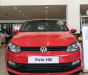 Volkswagen Polo B 2018 - Volkswagen Polo Hatchback sx 2018, xe Đức nhập khẩu, giá thương lượng