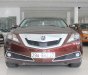 Acura ZDX   ZDX SH-AWD  2009 - Bán xe Acura ZDX SH-AWD sx 2009 đời 2010, màu nâu, xe nhập