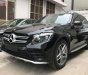 Mercedes-Benz GLC-Class GLC 300 2019 - Cần bán xe Mercedes GLC 300 năm 2019, màu đen