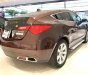 Acura ZDX   ZDX SH-AWD  2009 - Bán xe Acura ZDX SH-AWD sx 2009 đời 2010, màu nâu, xe nhập