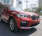 BMW X4 2019 - Bán ô tô BMW X4 sản xuất 2019, màu đỏ, nhập khẩu nguyên chiếc