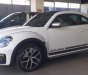 Volkswagen New Beetle Dune 2018 - Bán ô tô Volkswagen New Beetle Dune sản xuất năm 2018, màu trắng, xe nhập