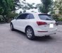 Audi Q5 2011 - Cần bán xe Audi Q5 đời 2012, màu trắng, xe nhập