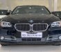 BMW 5 Series 520i 2014 - HCM: BMW 520i, màu đen, sản xuất 2014