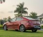 Hyundai Elantra Sport 2019 - Bán ô tô Hyundai Elantra sport sản xuất 2019, màu đỏ