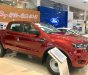 Ford Ranger XL 4x4 MT 2019 - Bán ô tô Ford Ranger XL 4x4 MT 2019, màu đỏ, nhập khẩu nguyên chiếc xe mới chính hãng, giá khuyến mại cực lớn