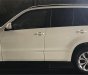 Suzuki Grand vitara 2016 - Bán Suzuki Grand Vitara 2.0 năm 2016, nhập khẩu Nhật Bản