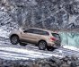 Ford Everest  Biturbo 2019 - Ford Everest 2.0 Biturbo 2019, nhập khẩu, giá tốt nhất thị trường, xe giao ngay 