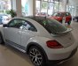 Volkswagen Beetle Dune 2018 - Bán Volkswagen Beetle Dune 2.0 TSI bản Final 2019 - Thiết kế thiên hướng thể thao, lai Crossover cá tính