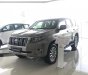 Toyota Land Cruiser Prado  2019 - Bán xe Toyota Land Cruiser Prado sản xuất 2019, nhập khẩu nguyên chiếc
