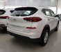 Hyundai Tucson 2.0AT 2019 - Bán xe Hyundai Tucson mới 2019 với thiết kế đầu xe mới