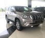 Toyota Land Cruiser Prado  2019 - Bán xe Toyota Land Cruiser Prado sản xuất 2019, nhập khẩu nguyên chiếc