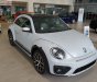 Volkswagen Beetle Dune 2018 - Bán Volkswagen Beetle Dune 2.0 TSI bản Final 2019 - Thiết kế thiên hướng thể thao, lai Crossover cá tính