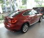 BMW X6 xDrive35i 2018 - Cần bán BMW X6 xDrive35i đời 2019, màu đỏ, nhập khẩu