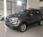 Ford EcoSport 2019 - Bán xe Ford EcoSport năm sản xuất 2019