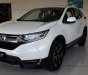 Honda CR V L 2019 - Bán Honda CRV L Turbo nhập khẩu nguyên chiếc, chỉ với 360tr mới 100%, 0942.627.357