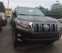 Toyota Prado    VX 2.7L   2019 - Bán xe Toyota Prado VX 2.7L đời 2019, màu nâu